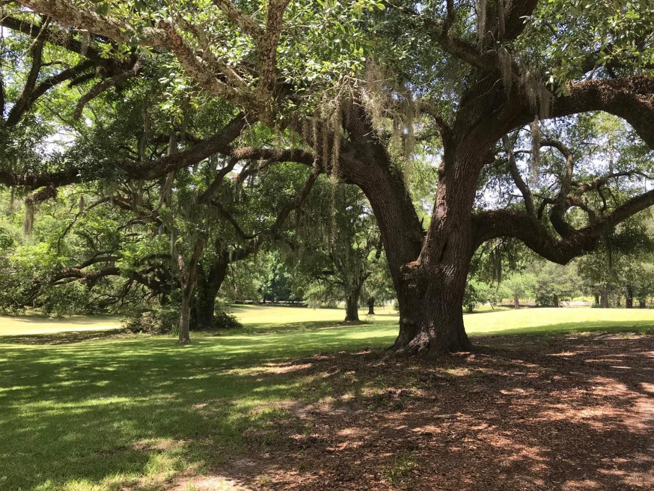 Canemount Plantation Inn Westside Exterior photo
